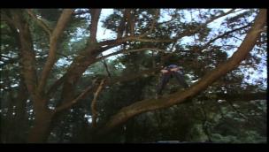 Trailer Ace Ventura: When Nature Calls