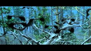 Trailer Bats: Human Harvest